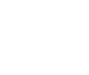 INTRODUCTION HOTELS
